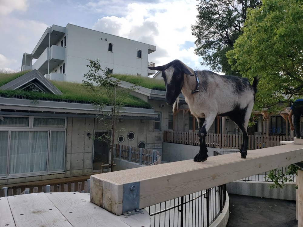 板橋区立こども動物園